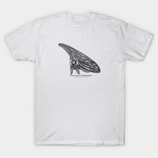 Treehopper with Common and Latin Names - super cute bug drawing T-Shirt